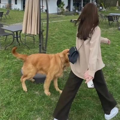 千年女妖