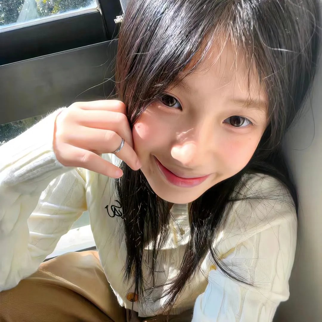尼姆计划